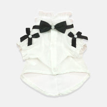 Load image into Gallery viewer, Missy Cat Shirt | Stylish Shirt for Cats &amp; Kittens | MissyMoMo
