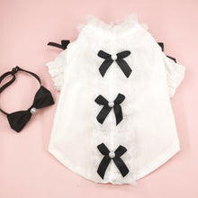 Load image into Gallery viewer, Missy Cat Shirt | Stylish Shirt for Cats &amp; Kittens | MissyMoMo
