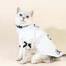 Load image into Gallery viewer, Missy Cat Shirt | Cat in White Shirt with Bow Tie | MissyMoMo
