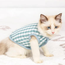 Load image into Gallery viewer, Kitten in Green Reversible Jacket | MissyMoMo
