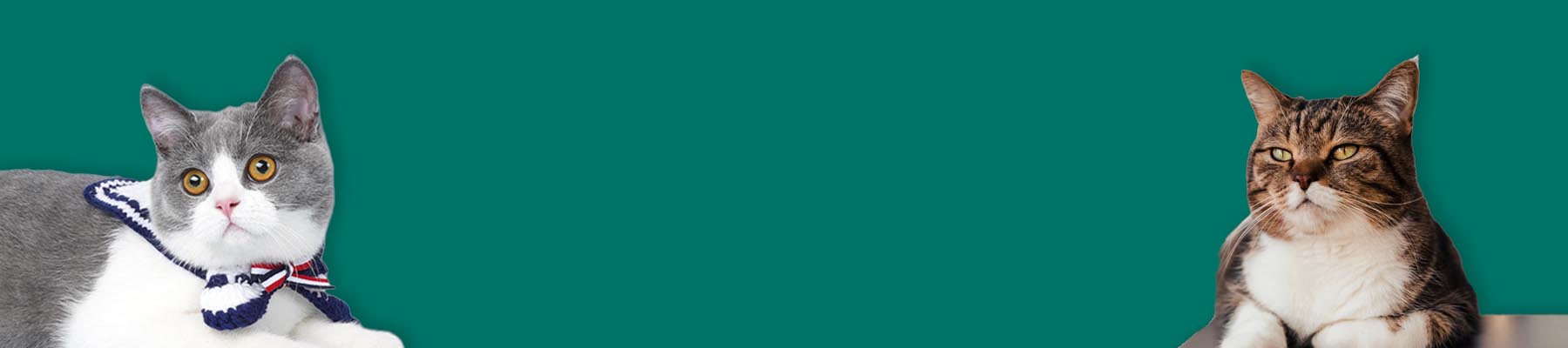 MissyMoMo Cat Clothes & Accessories Collection