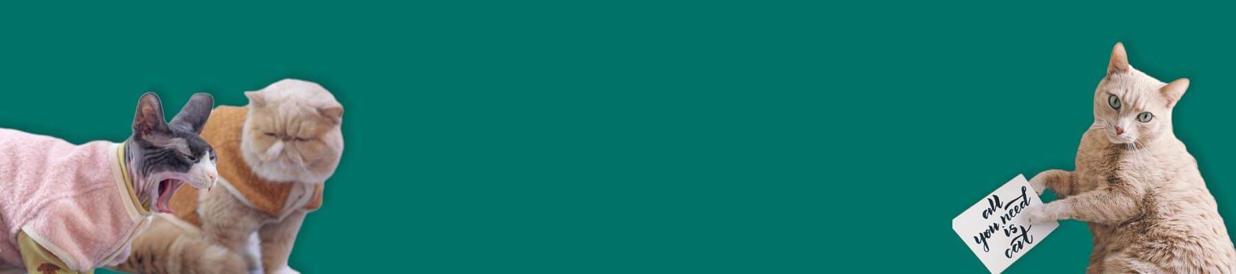 Cat Clothes & Outfits