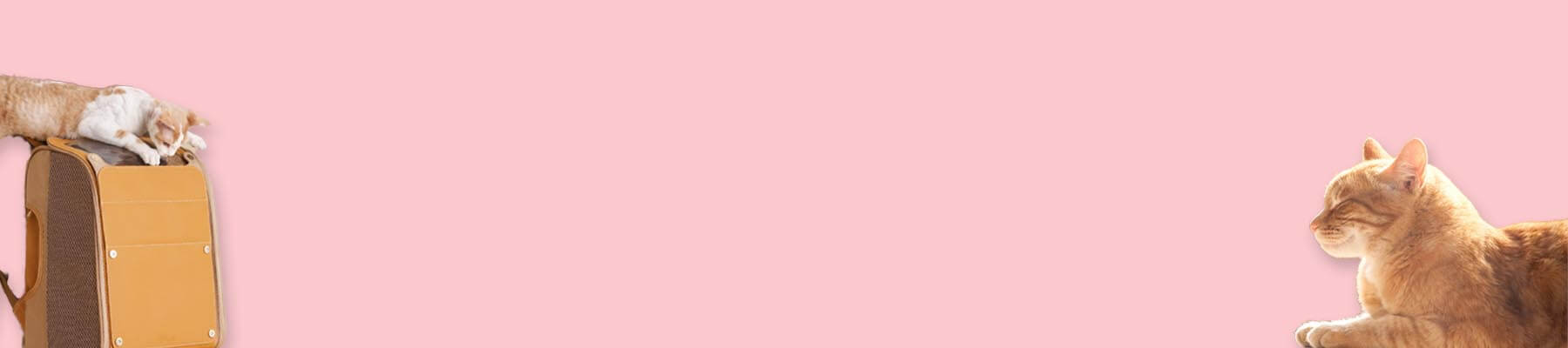 MissyMoMo Cat Backpack Collection