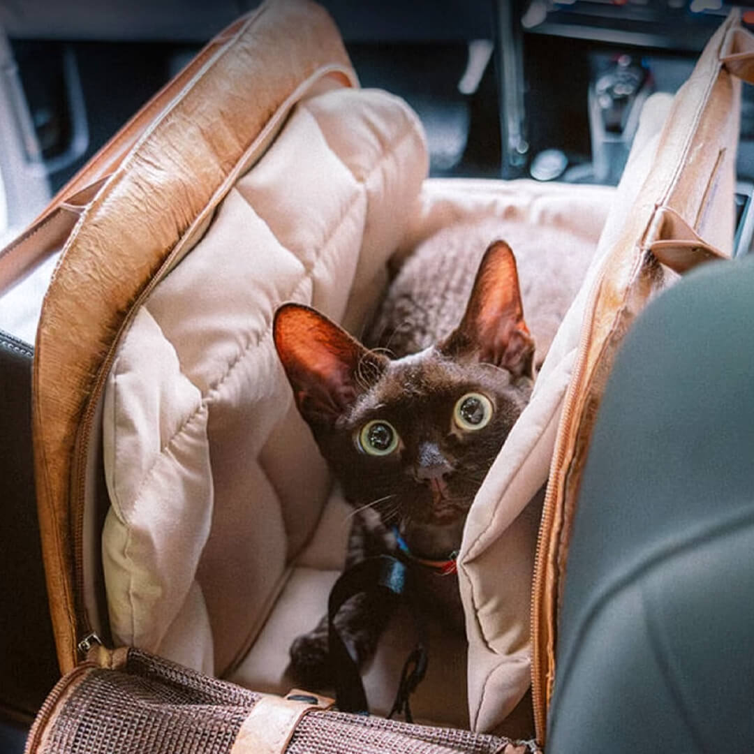 Black Cat Sitting in Brown Leather Cat Car Seat Carrier | MissyMoMo