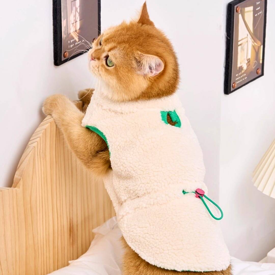 Cat in White Fleece Jacket | MissyMoMo