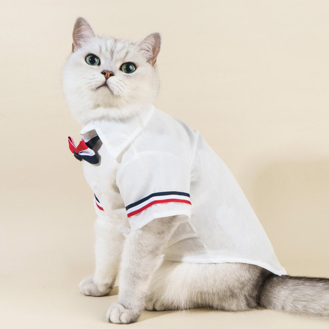 MoMo Cat Shirt | Cat in White Shirt with Bow Tie | MissyMoMo