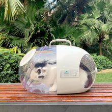 Load image into Gallery viewer, Cat in Moboli Capsule Cat Carrier on a Bench | MissyMoMo
