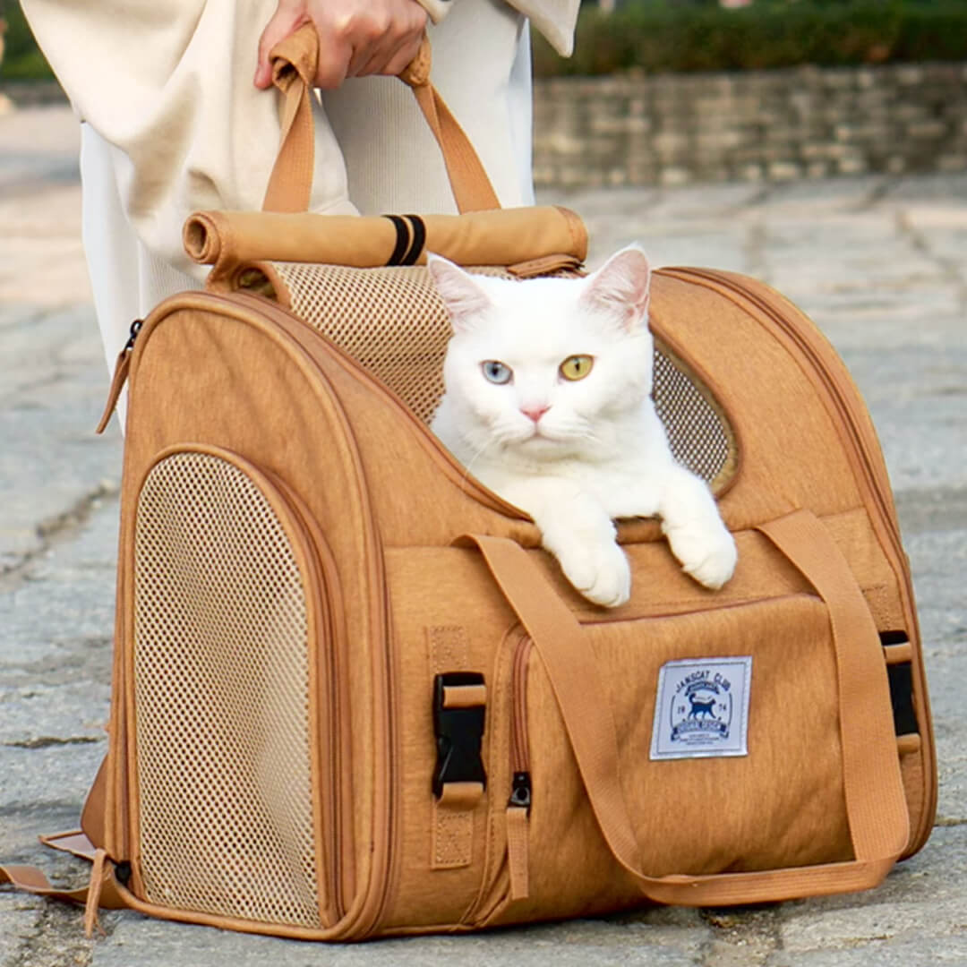Cat Inside Expandable Cat Backpack | MissyMoMo