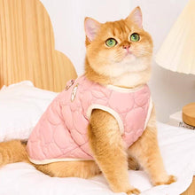 Load image into Gallery viewer, Cat in Pink Quilted Jacket With Bear Detail | Soft Padded Cat Vest | MissyMoMo
