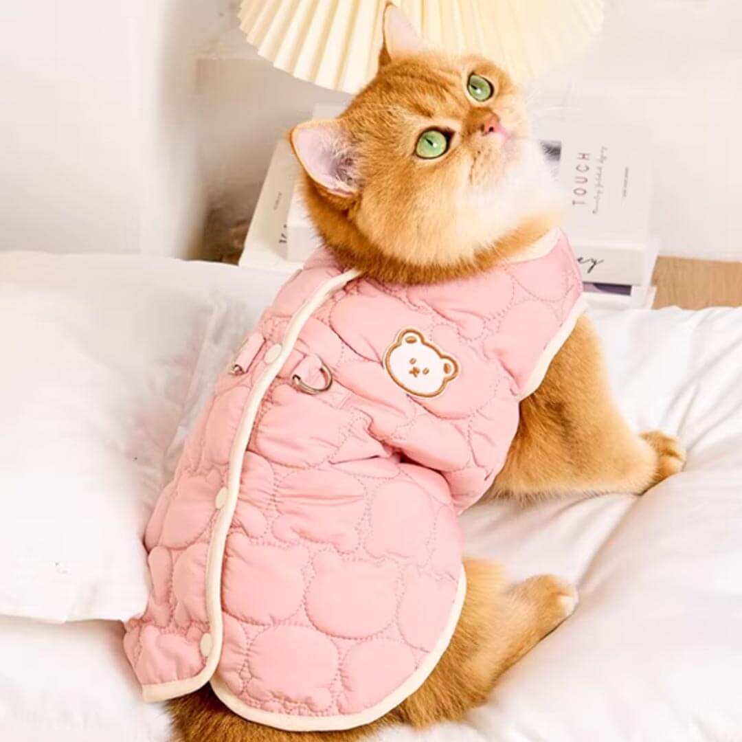 Cat Wearing Pink Quilted Jacket With Bear Detail | Cozy Cat Winter Outfit | MissyMoMo