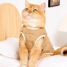 Load image into Gallery viewer, Cat Wearing Brown Quilted Jacket | Cozy Bear Patch Cat Outfit | MissyMoMo
