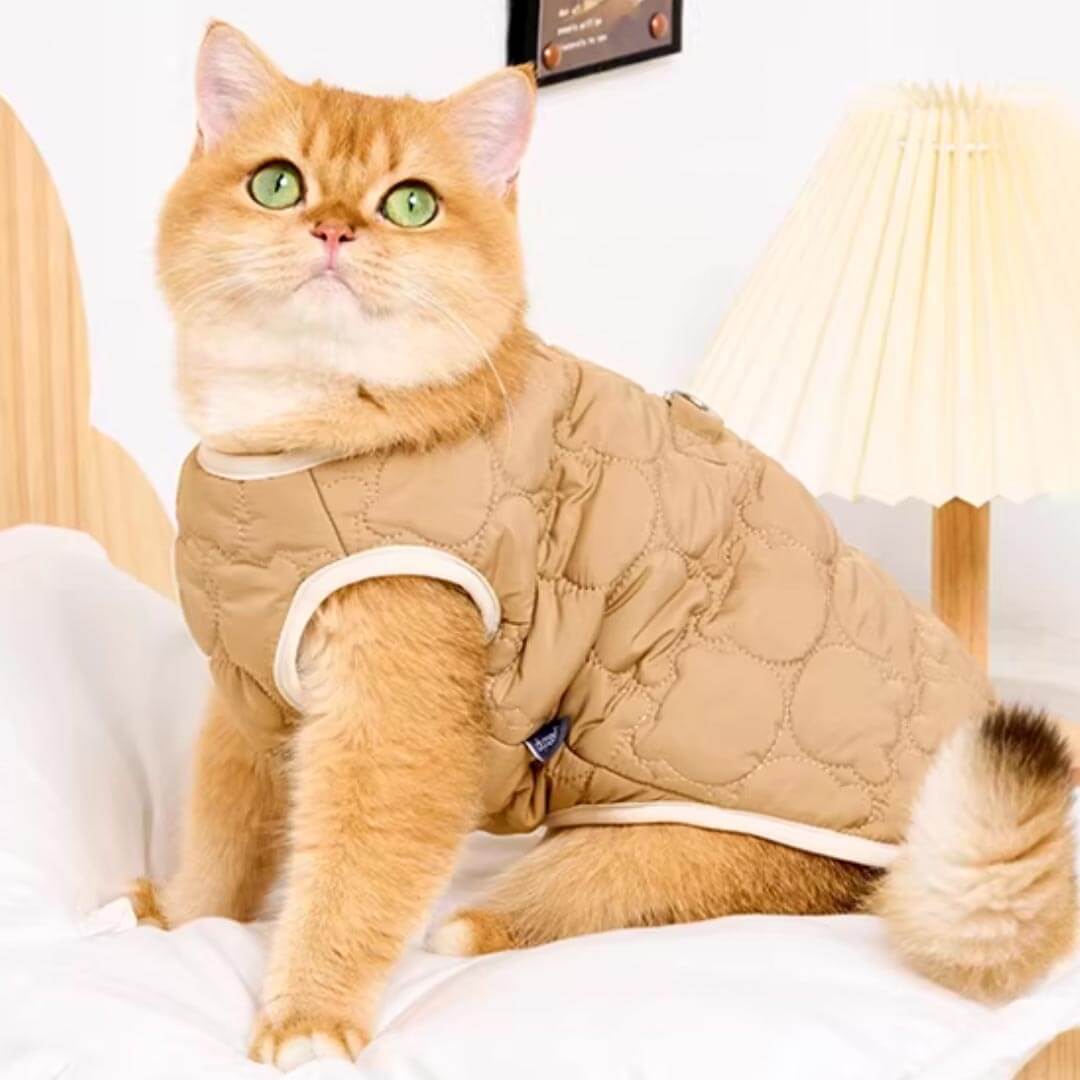 Cat in Brown Quilted Jacket | Cozy Bear Patch Cat Outfit | MissyMoMo
