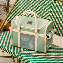 Load image into Gallery viewer, Cat Resting Comfortably Inside Vented Leather Pet Carrier | MissyMoMo
