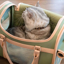 Load image into Gallery viewer, Grey Cat Sitting Inside Green Mesh Cat Carrier | MissyMoMo
