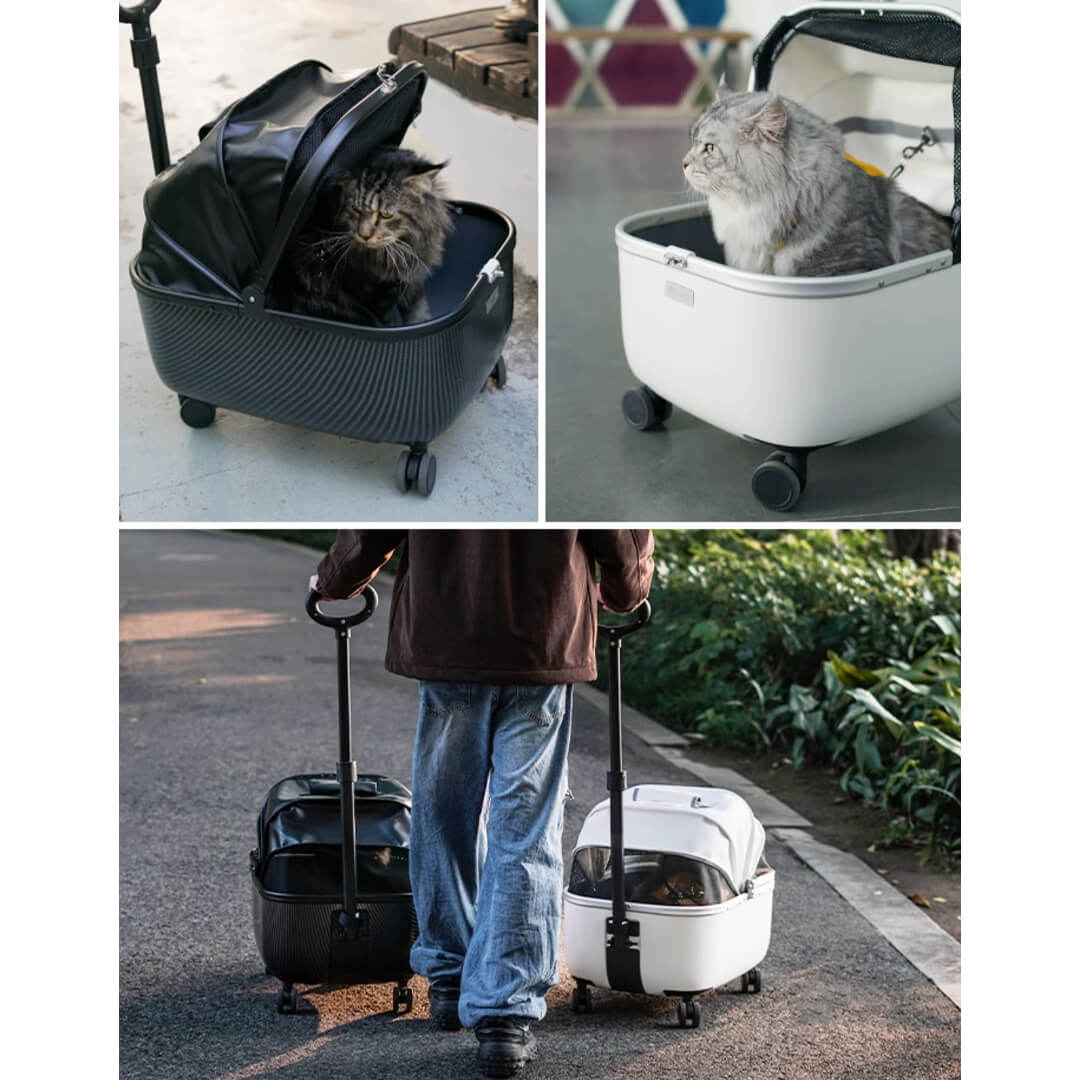 Black and White Cat Strollers | Stylish Cat Carriers with Wheels | MissyMoMo