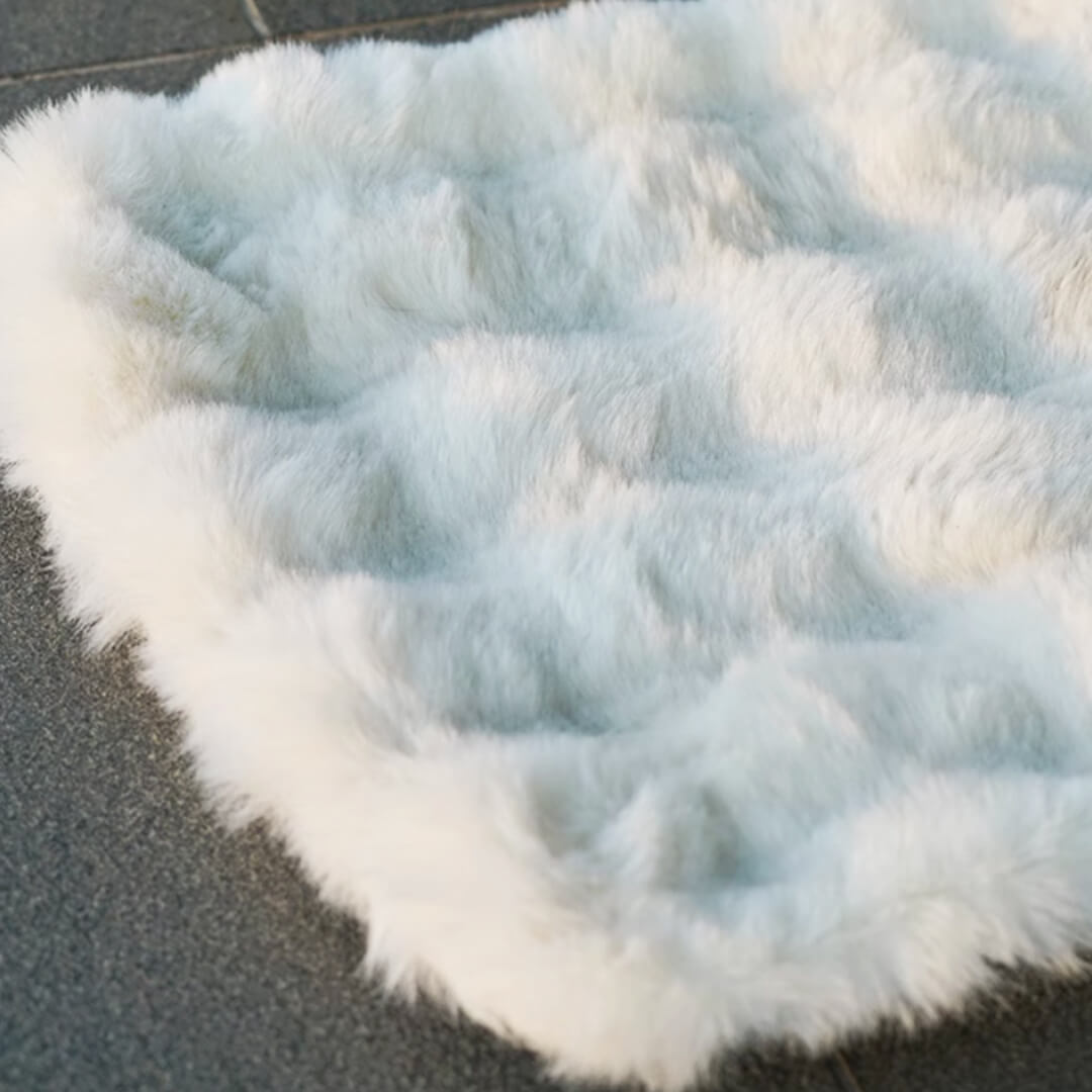 Fluffy Mat of White Cat Carrier with Wheels | Stylish Cat Stroller | MissyMoMo