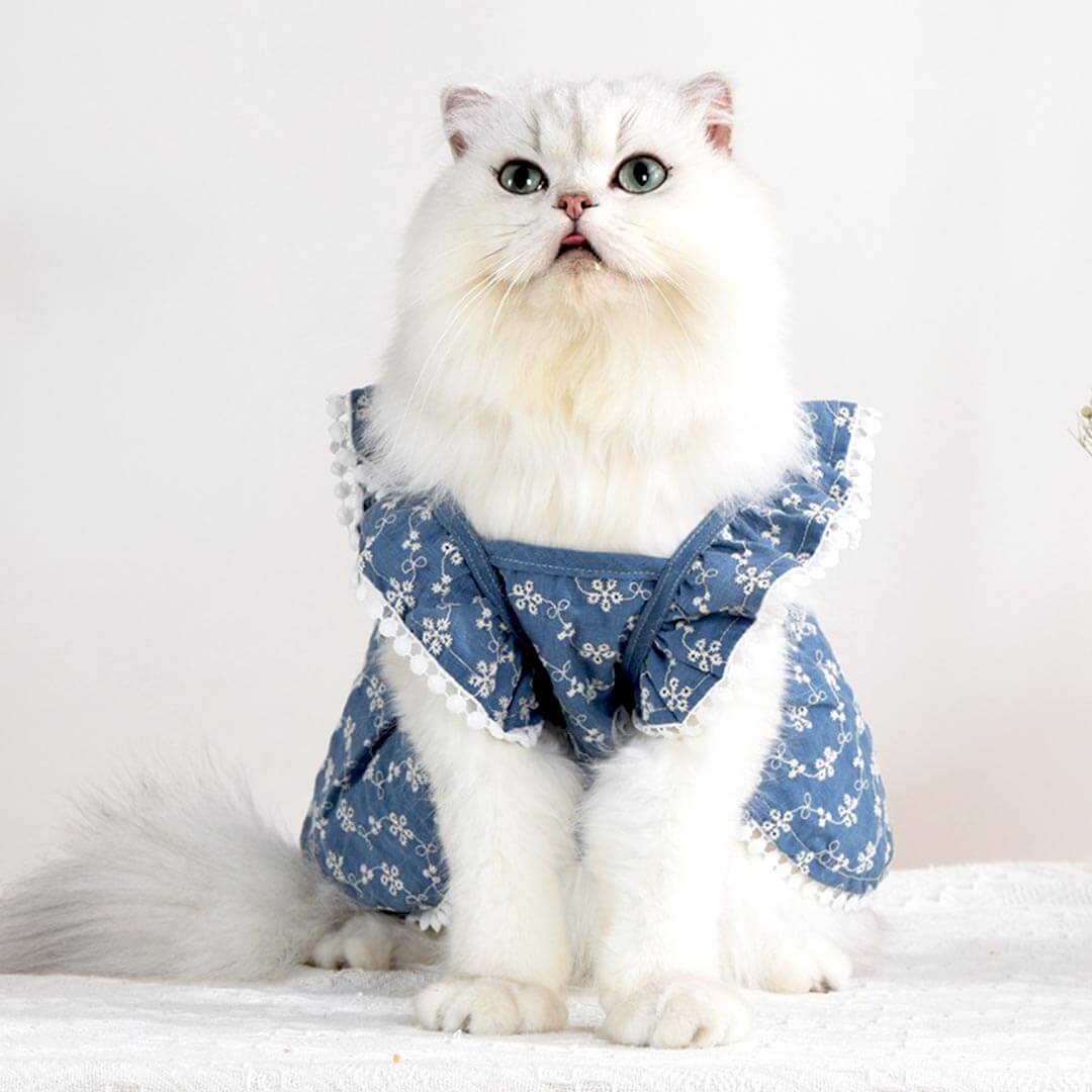 MoMo Cat Dress | Dress for Cats | Cat in Dress | MissyMoMo