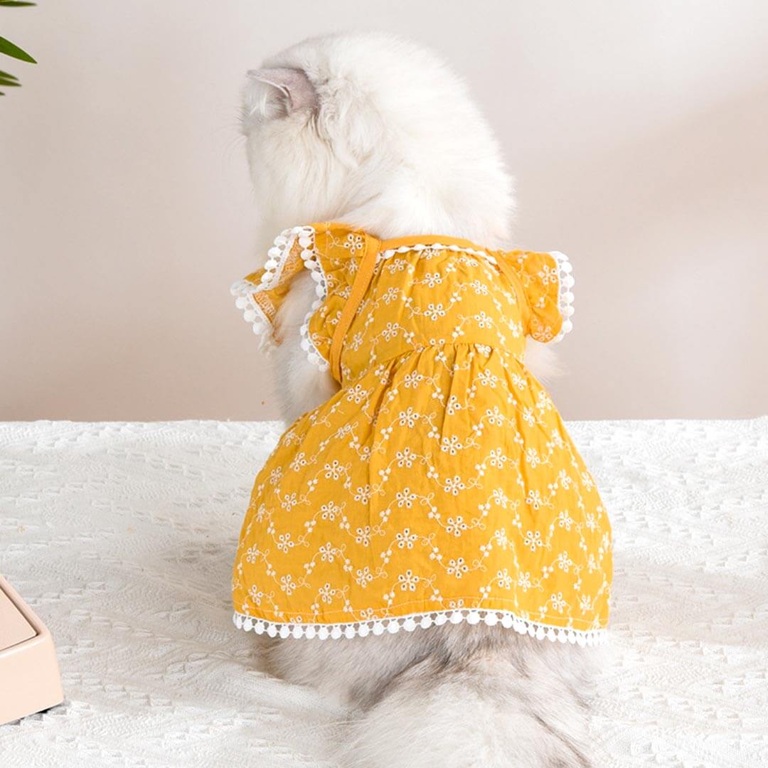 MoMo Cat Dress | Dress for Cats | Cat in Dress | MissyMoMo