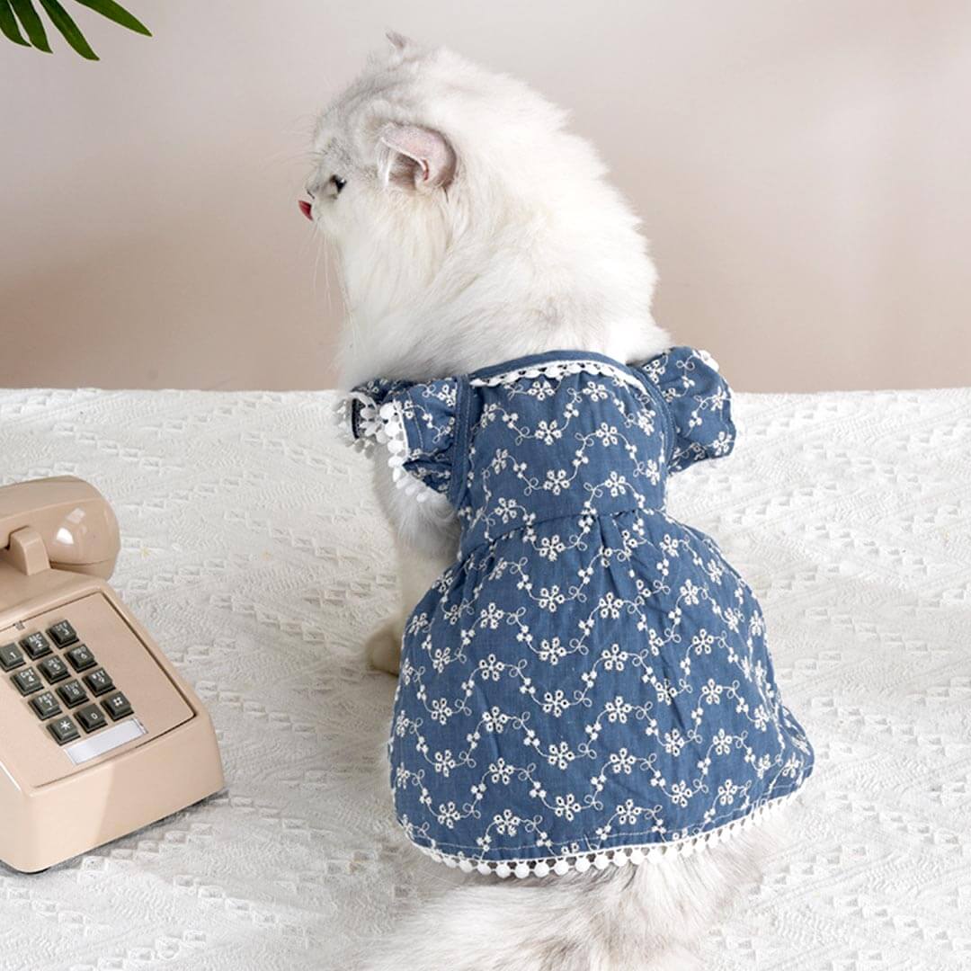 MoMo Cat Dress | Dress for Cats | Cat in Dress | MissyMoMo