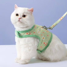 Load image into Gallery viewer, Cat Ready for a Walk in Nova Cat Harness &amp; Leash Set | MissyMoMo
