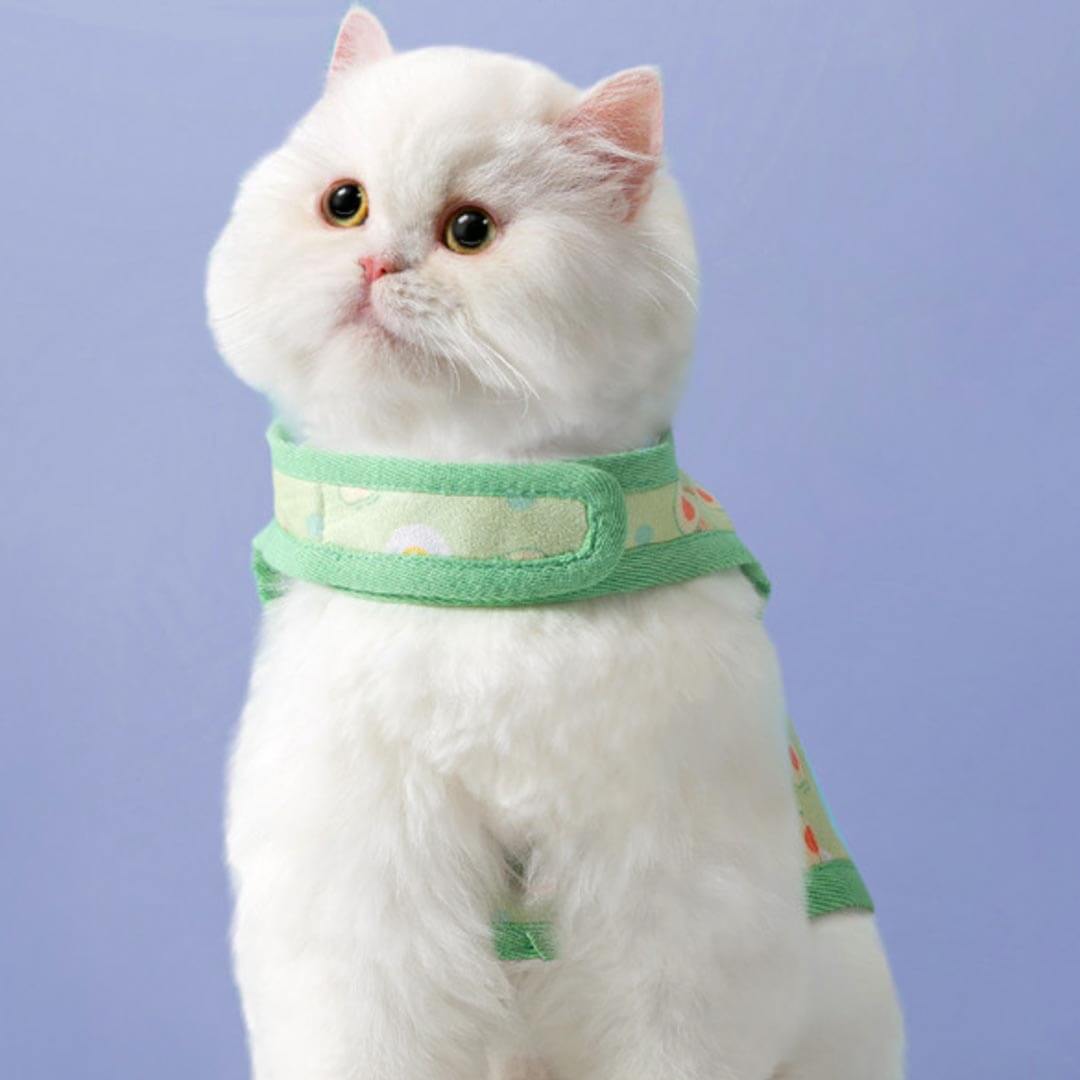 Cat Wearing Nova Cat Harness in Green | MissyMoMo