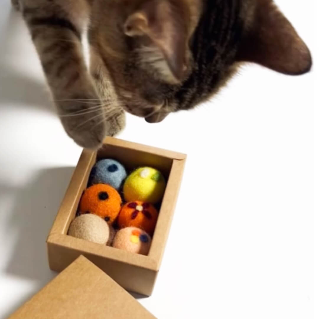 Cat with Cute Wool Felt Cat Ball Toys | MissyMoMo
