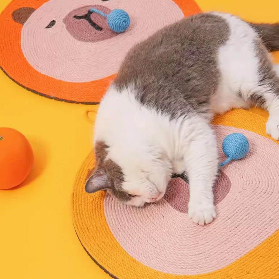 Cat Scratching Cute Orange Sniffy Capybara Cat Scratch Mat | MissyMoMo