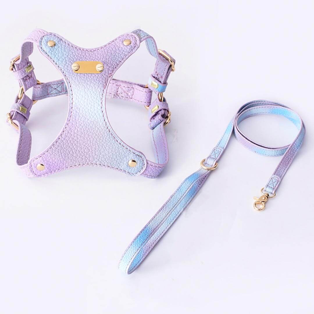 Purple Gradient Cat Harness and Leash Set | MissyMoMo