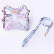 Load image into Gallery viewer, Purple Gradient Cat Harness and Leash Set | MissyMoMo
