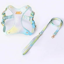 Load image into Gallery viewer, Blue Gradient Cat Harness and Leash Set | MissyMoMo
