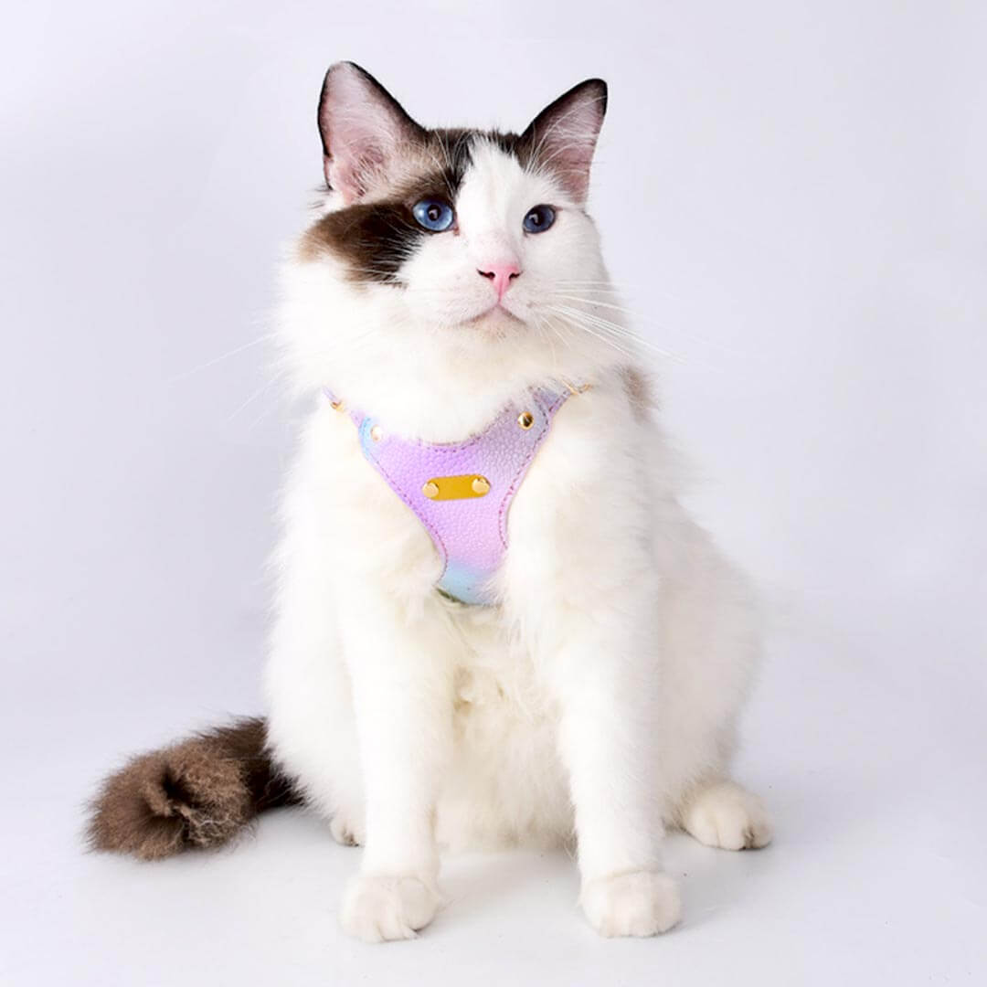 Cat Modeling Aurora Gradient Cat Harness | MissyMoMo