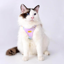 Load image into Gallery viewer, Cat Modeling Aurora Gradient Cat Harness | MissyMoMo
