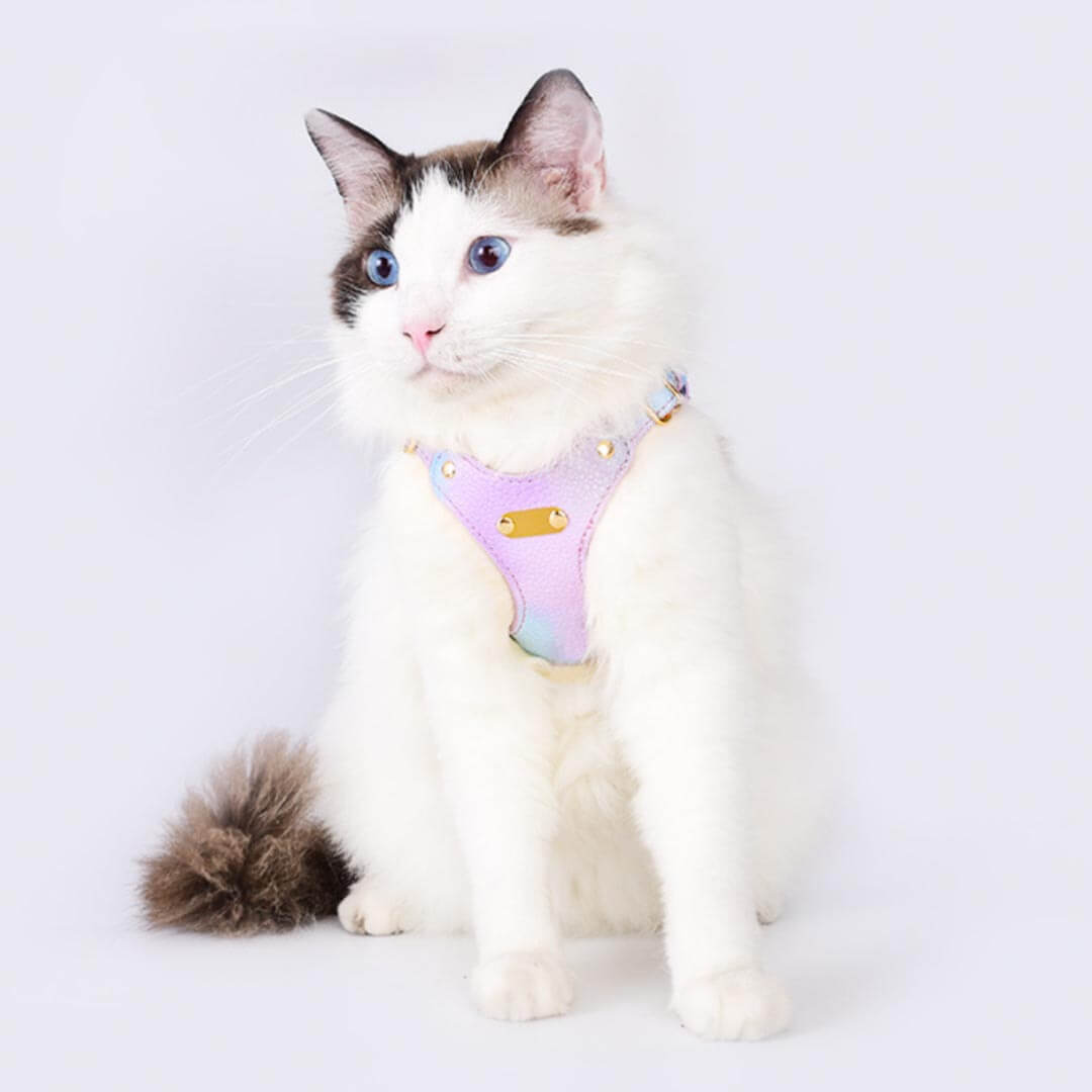 Cat in Purple Luxury Lightweight Vegan Leather Cat Harness | MissyMoMo