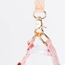 Load image into Gallery viewer,  Metal Buckle on Aurora Gradient Cat Harness | MissyMoMo
