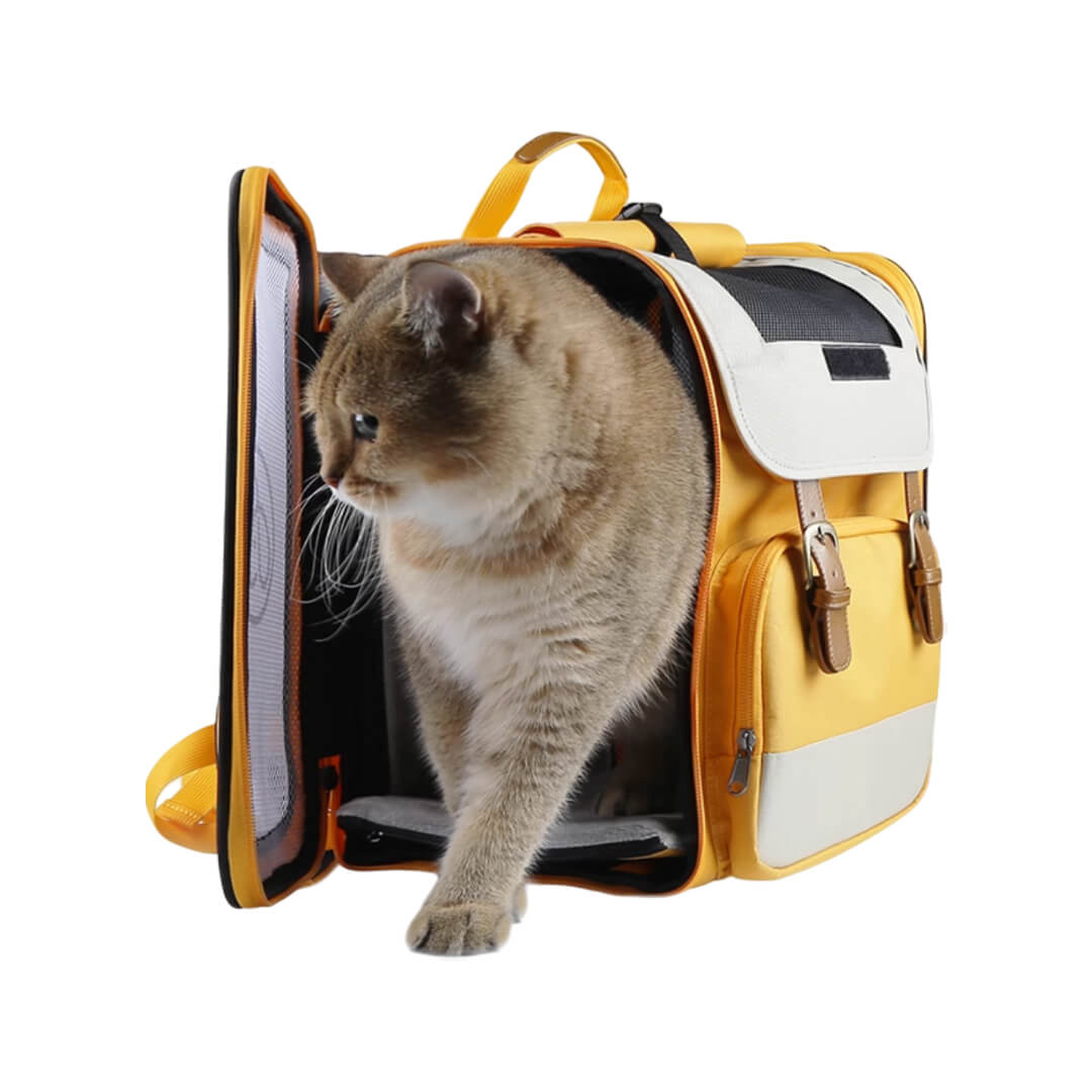 Cat Getting Out of Paw Voyager Orange Expandable Cat Backpack | Soft Cat Carrier | MissyMoMo
