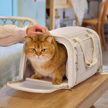 Load image into Gallery viewer, Cat in Beige Airline-Approved Cat Carrier for Travel | MissyMoMo
