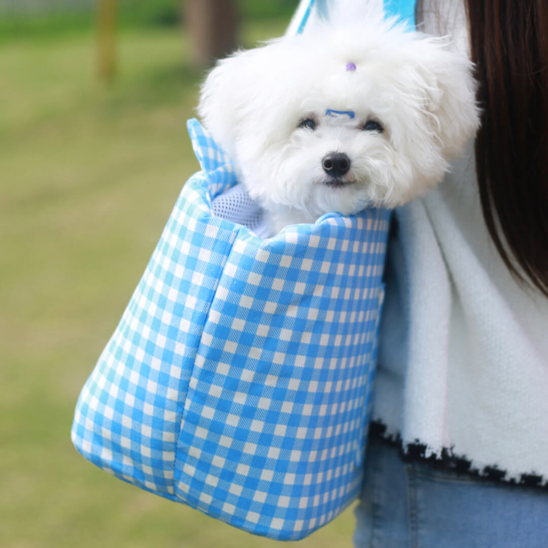 Puppy in Blue Gingham Pet Carrier | MissyMoMo