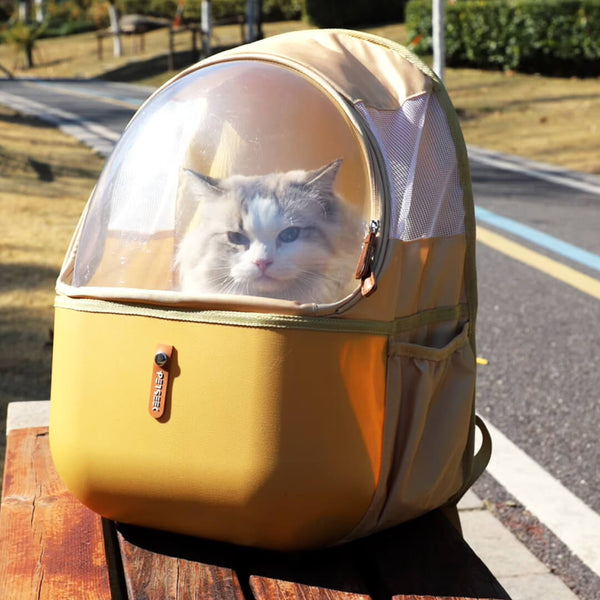 Cat Sitting Inside Yellow Collapsible Cat Backpack | MissyMoMo