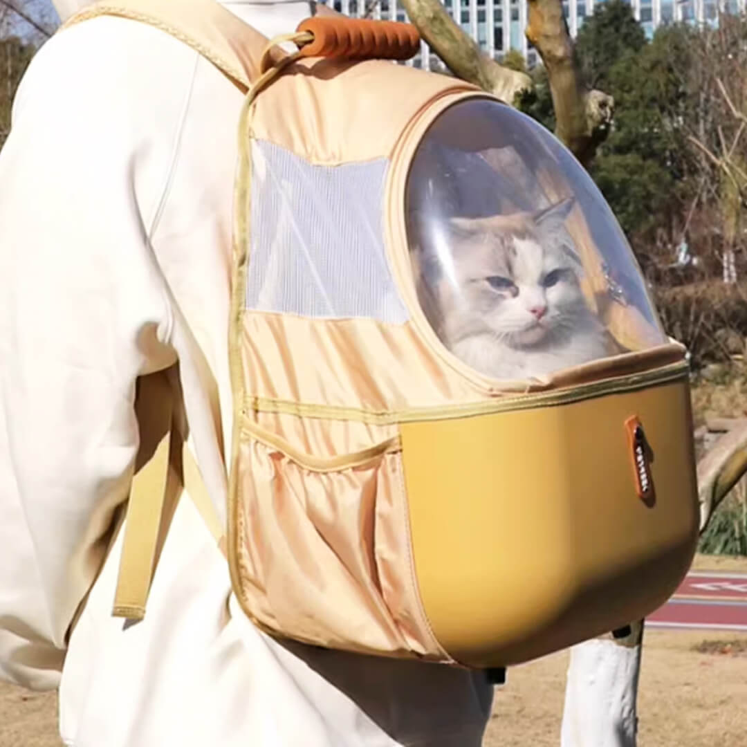 Carrying Cat with Yellow Collapsible Cat Backpack | MissyMoMo
