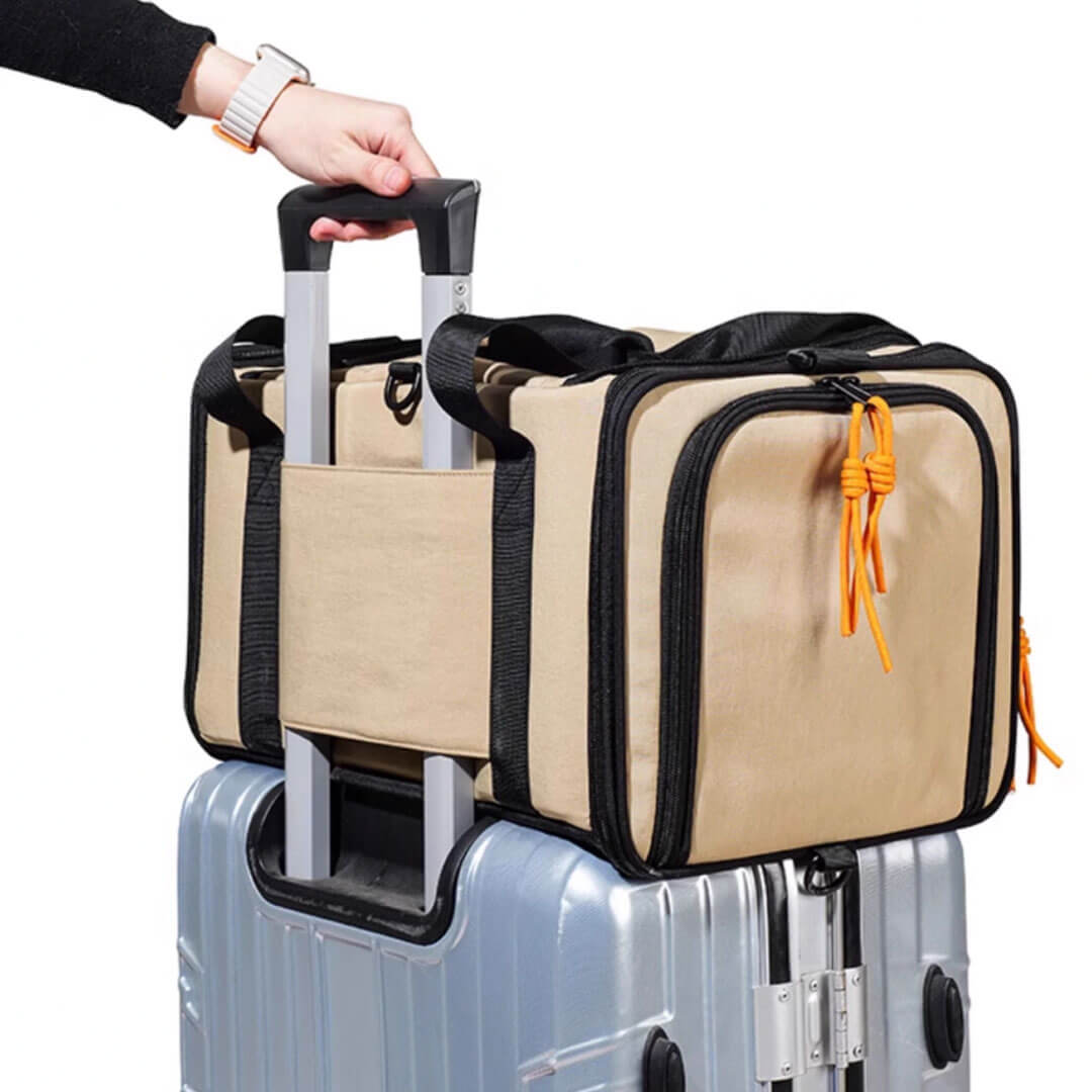 Luggage Strap of Airline-Approved Cat Carrier | MissyMoMo