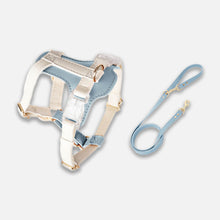 Load image into Gallery viewer, Phoenix Leather Cat Harness &amp; Leash Set In Blue | MissyMoMo
