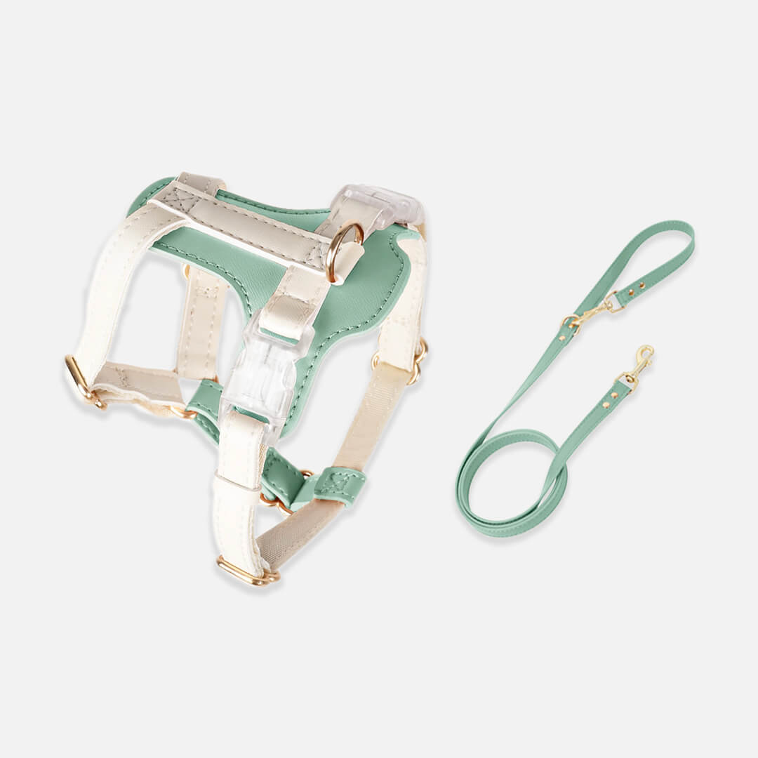 Phoenix Leather Cat Harness & Leash Set In Green | MissyMoMo
