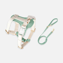 Load image into Gallery viewer, Phoenix Leather Cat Harness &amp; Leash Set In Green | MissyMoMo
