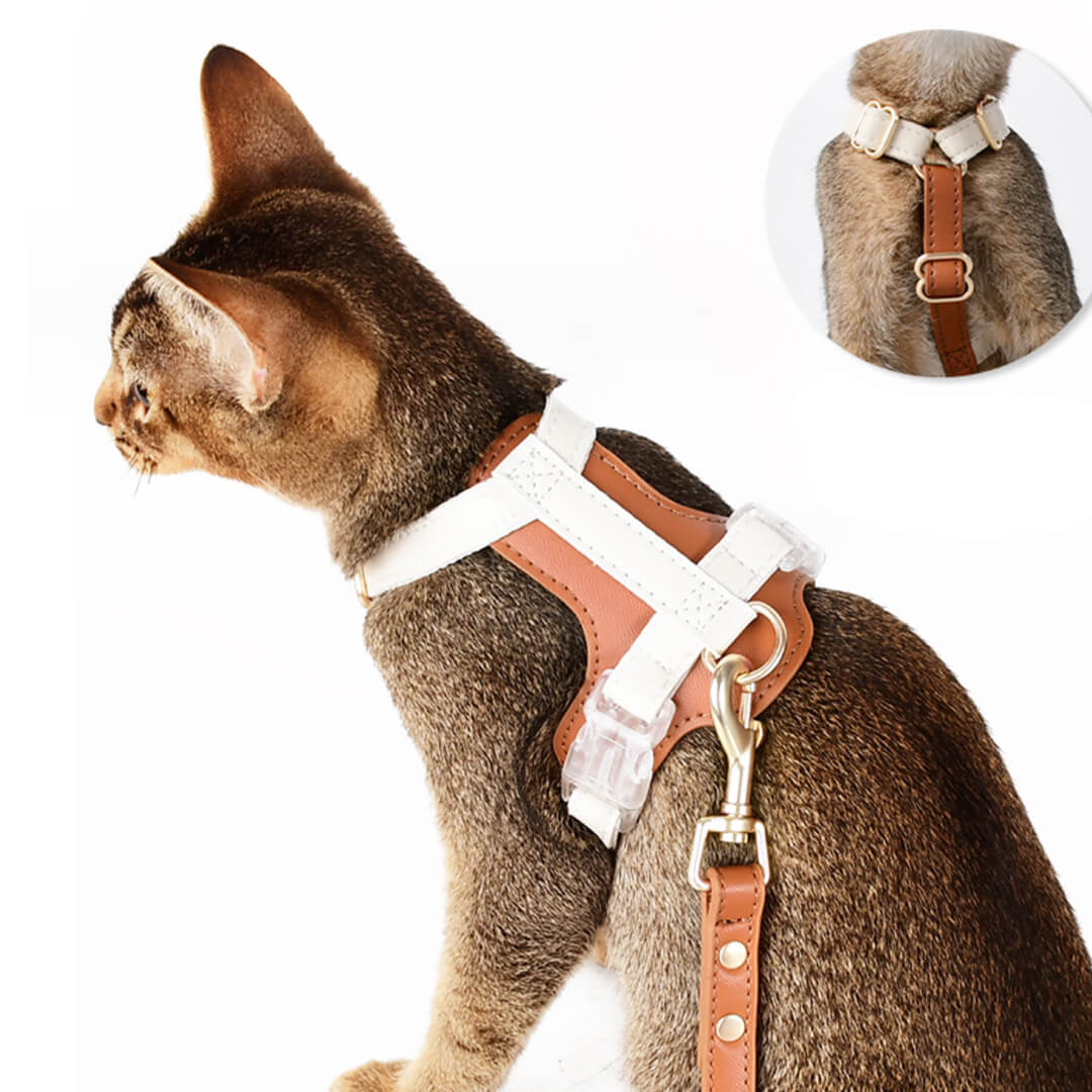 Buckle On Phoenix Leather Cat Harness | MissyMoMo