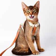 Load image into Gallery viewer, Cat Ready For A Walk With Phoenix Leather Cat Harness &amp; Leash Set | MissyMoMo
