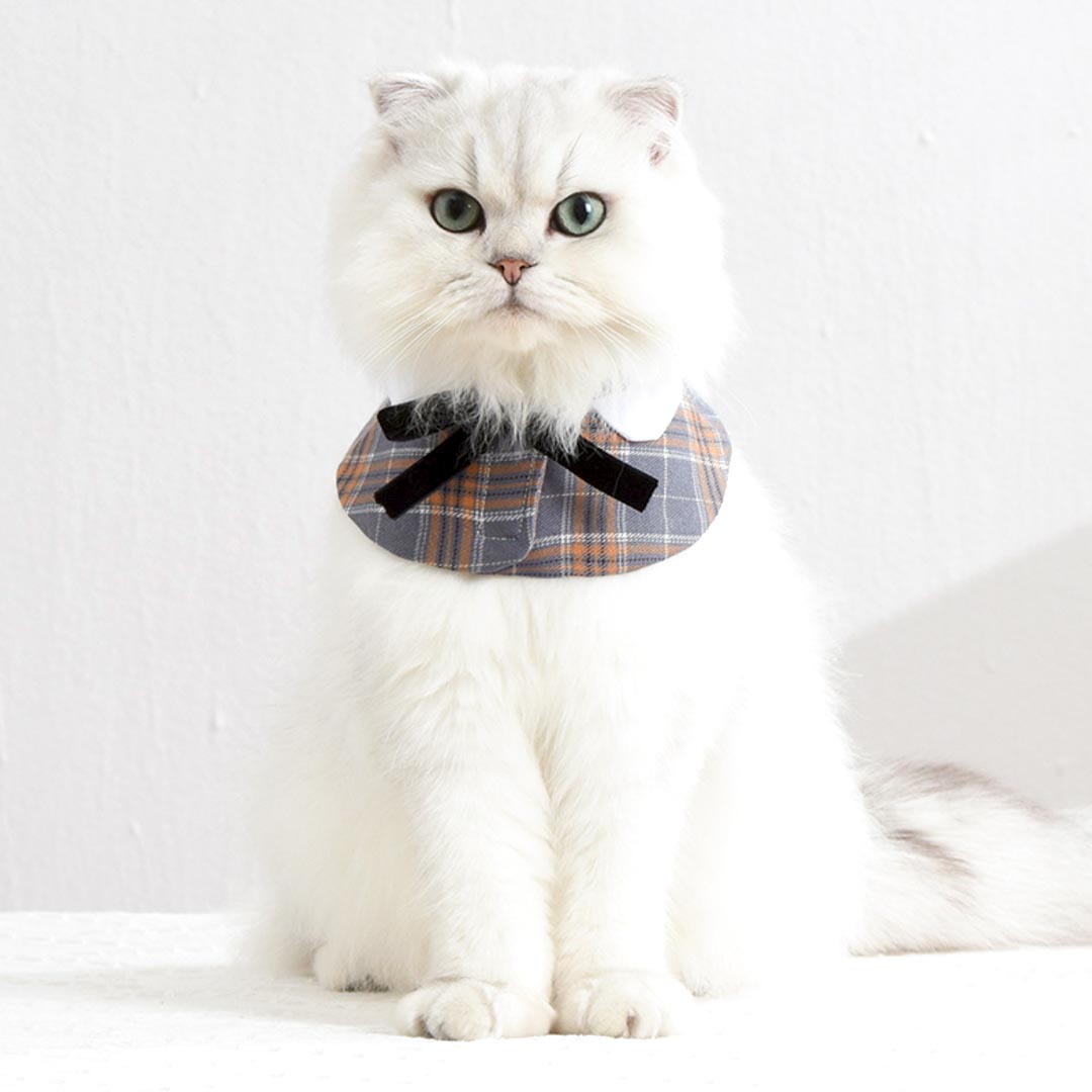 Plaid Cat Bib | Cat Accessories | Cat with Collar | MissyMoMo