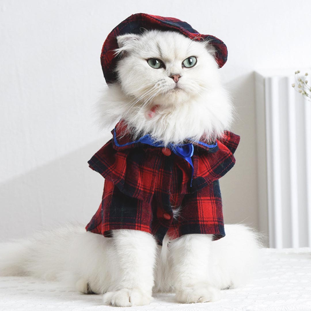 Plaid Cat Hat | Pet Accessories | MissyMoMo