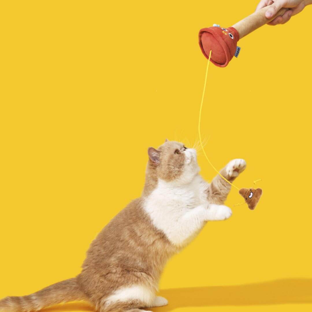 Cat Playing with Plunging Poo Cat Teaser | Funny Kitten & Cat Toys | MissyMoMo