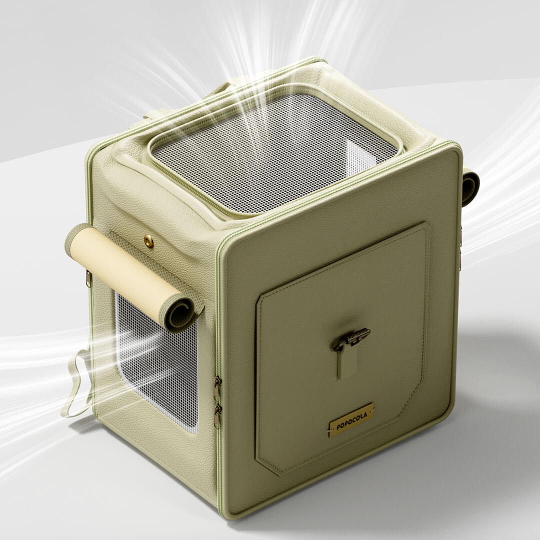 Popocola Cat Backpack | Well-Ventilated Leather Cat Carrier | MissyMoMo