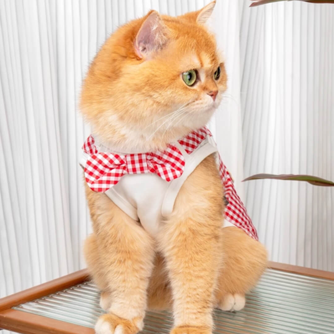 Cat in Red Check Vest | MissyMoMo